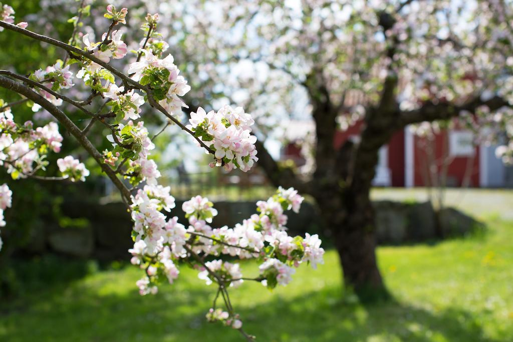 Lilla Soergarden 호텔 Kungsberga 외부 사진